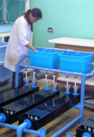 Biología Marina Biología Marina