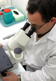 Bioquímica